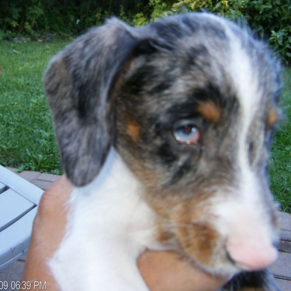 Meet your Posher, Ellen